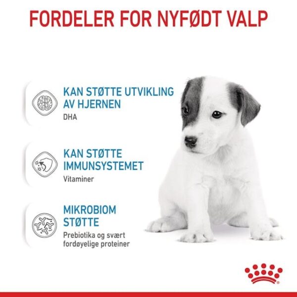Royal Canin Morsmelkerstatning 400g
